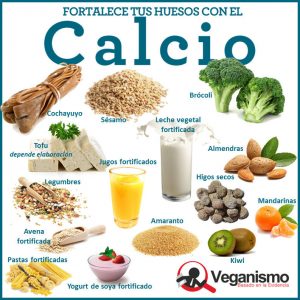 alimentos-en-calcio